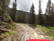muddy