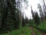 near_the_intersection