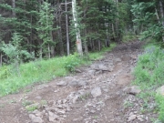 rocks