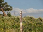spur_on_a_spur