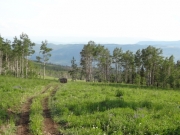trail_with_a_view