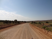 early_trail