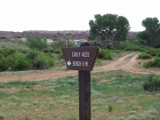 early_weed_bench_sign