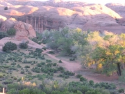 camp_site_seen_from_old_fort