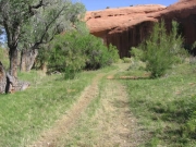 grass_trail