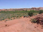 ladd_and_sean_on_the_trail