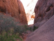 rocks