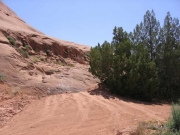 sand_to_slickrock