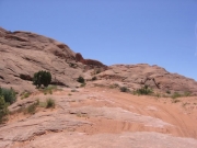 sandy_trail