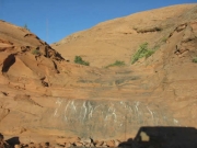 scrape_marks