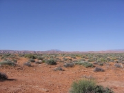 see_for_miles