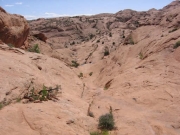 the_chute_part_1