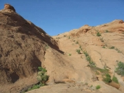 the_chute_part_5