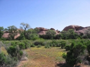 view_from_the_camp_site