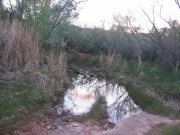 water_crossing_part_1