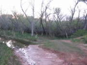 water_crossing_part_2