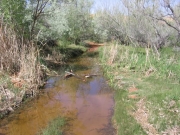 water_crossing_part_3
