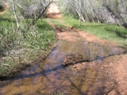 water_crossing_part_4