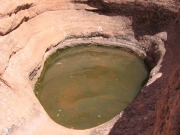 water_hole