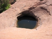 water_hole_at_the_chute