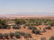 big_view