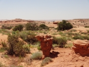 desert_weirdness
