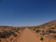 early_trail