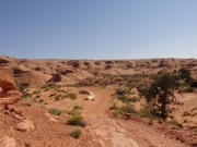 slickrock_and_sand