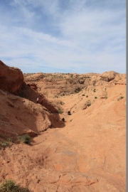 the_chute