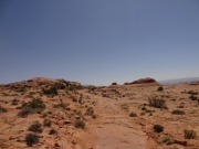 track_along_slickrock