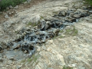 creek_at_the_shelf