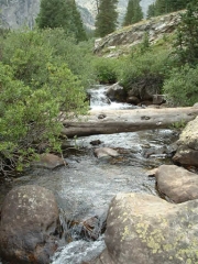 feeding_into_french_creek