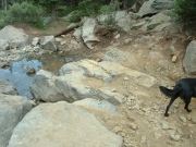 french_creek_line