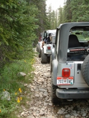on_the_trail