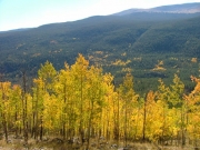 aspens_part_3