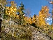 climbing