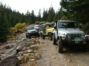 everyone_on_the_trail