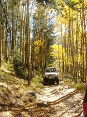 wayne_on_the_trail