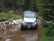 cheryl_in_a_puddle