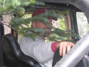 robert_in_a_tree