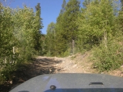 early_trail