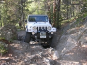 roger_on_the_trail