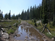 wet_trail