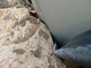 don_trail_damage_part_3