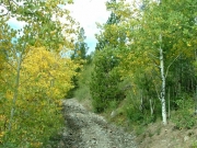 early_trail