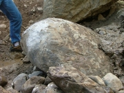 french_creek_part_4
