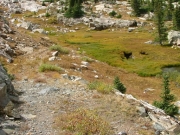 hiking_trail_through_marsh
