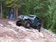 matt_up_tippy_tree_part_3