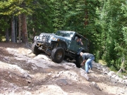 matt_up_tippy_tree_part_4