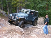 matt_up_tippy_tree_part_5